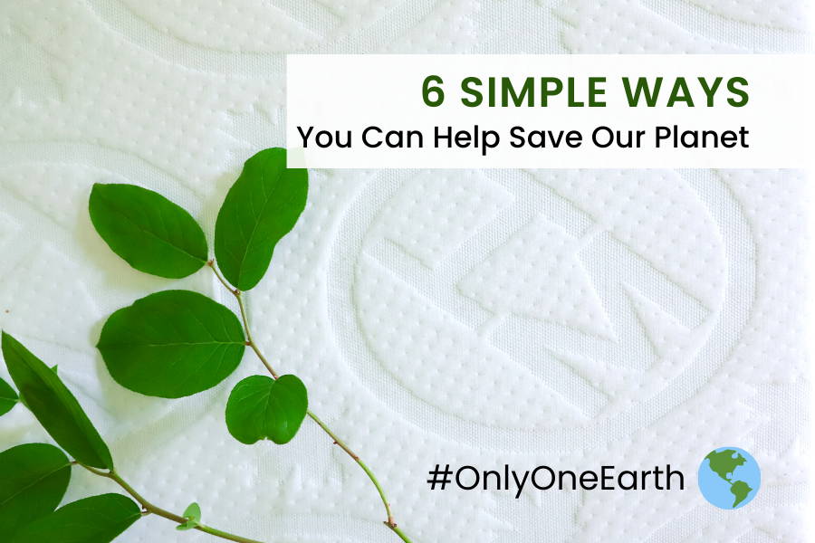 Haven Sleep Co. Celebrates World Environment Day with #OnlyOneEarth ...