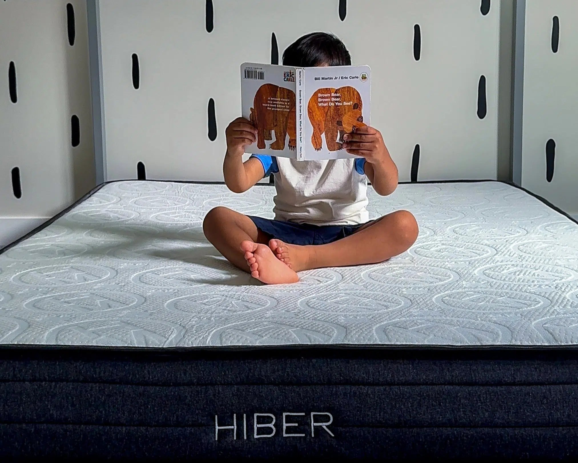 Hibernate hotel pillows 2025