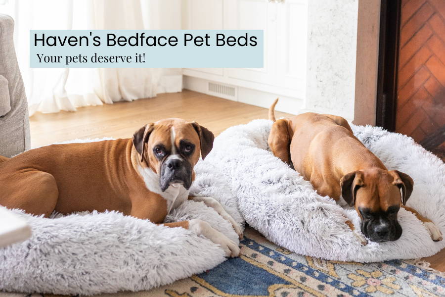 Give your Little Furry Fellas the Best Sleep with Haven's Bedface Pet Beds