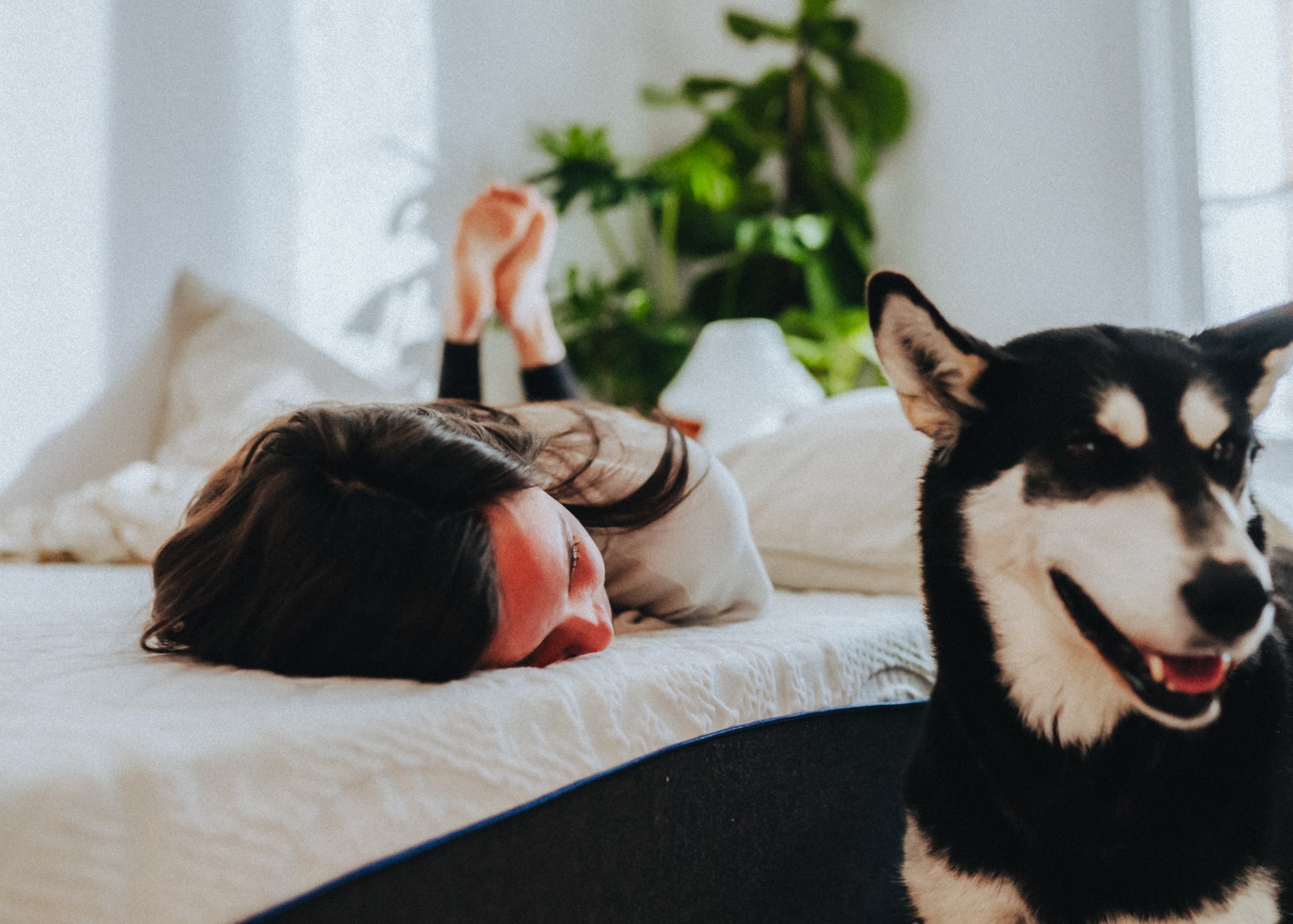 Having Trouble Falling Asleep?