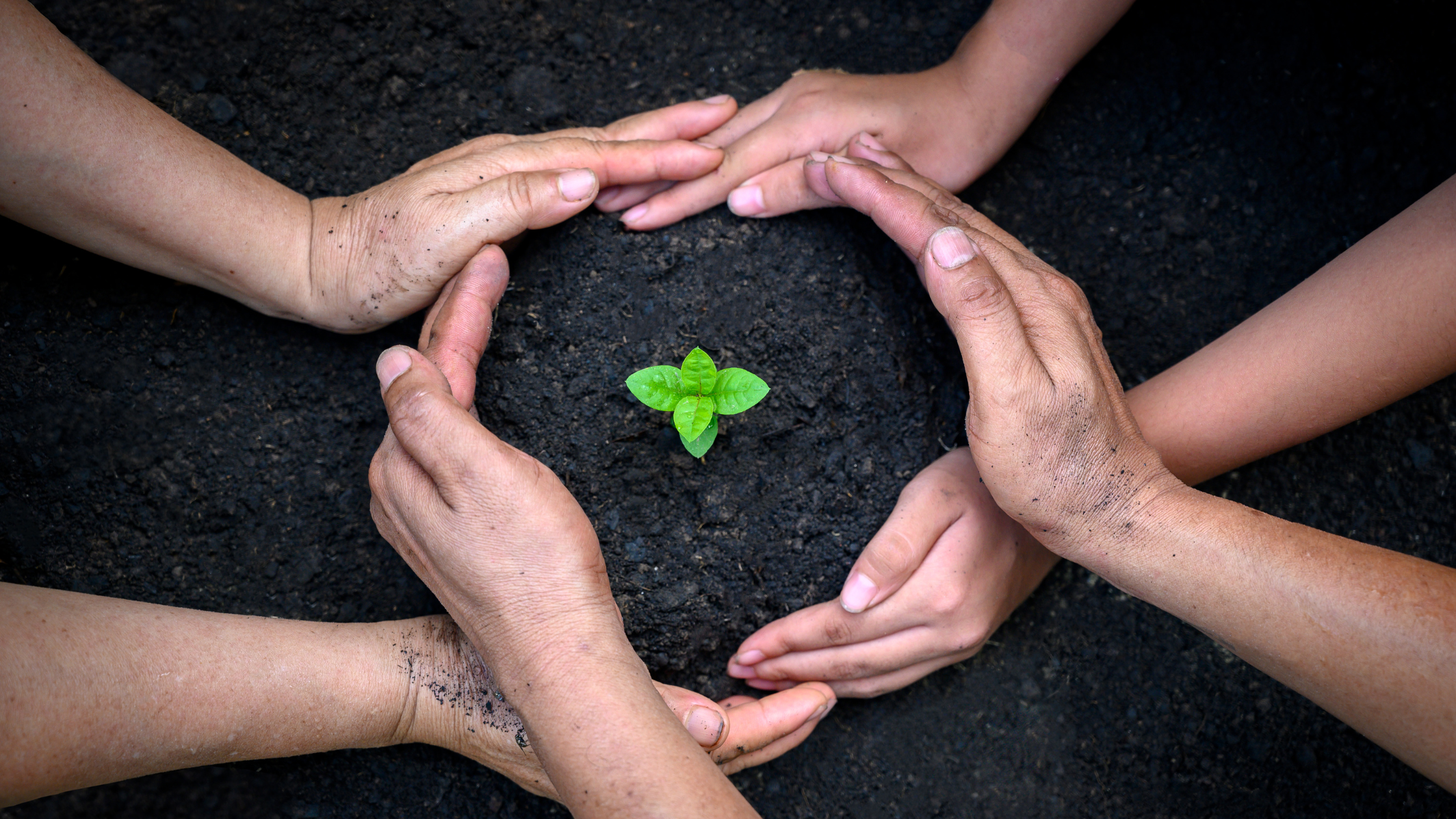 Non-Toxic Sleep on a Budget: How Haven’s Plant-Based Foam Beats Cheap Memory Foam