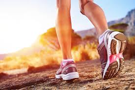 Innovative body recovery technology is standard on all Haven's
