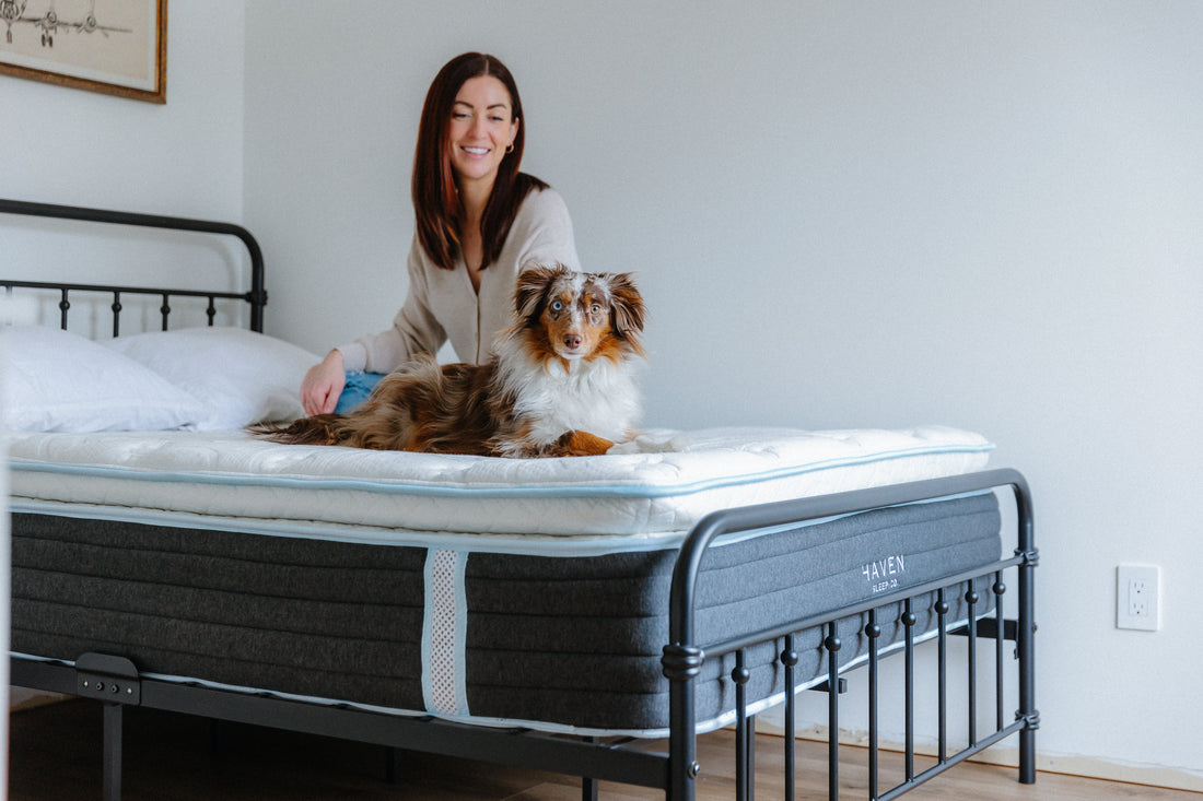 Faces of Haven: Meet Sammy Sylvester