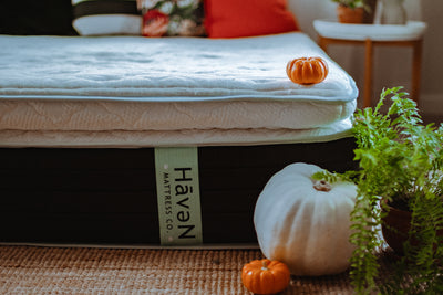 The Benefits of Pumpkin Relating to Your Sleep