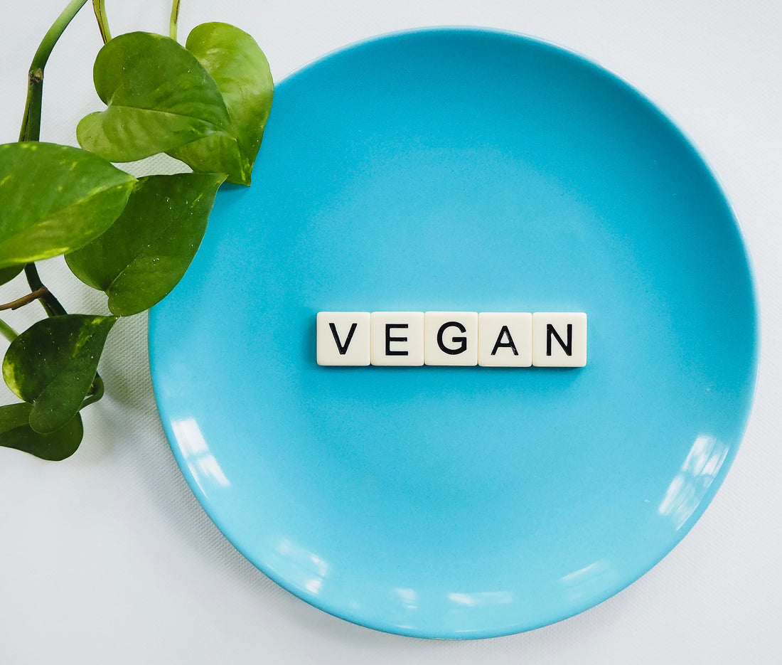 Can A Mattress Be Vegan?