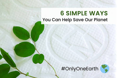 Haven Sleep Co. Celebrates World Environment Day with #OnlyOneEarth