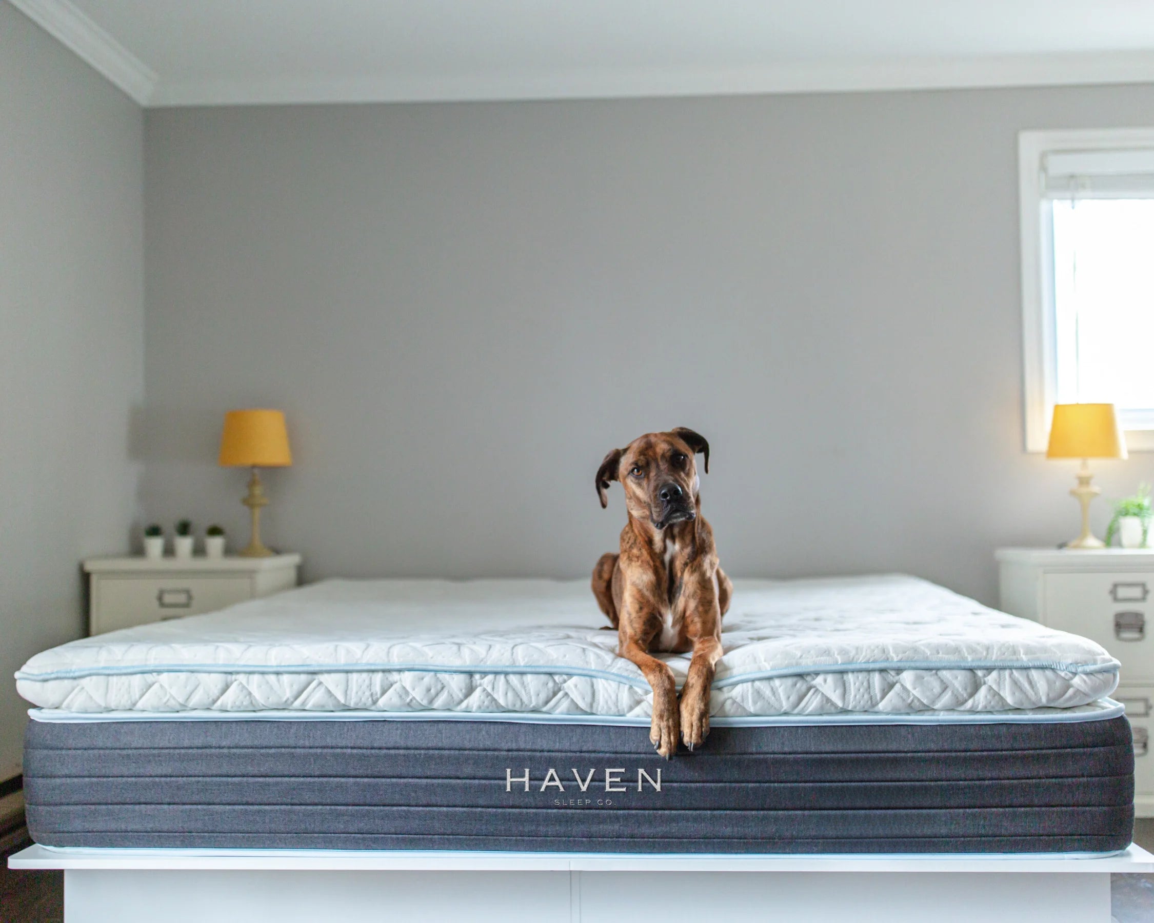 LUX Pillowtop Hybrid Mattress