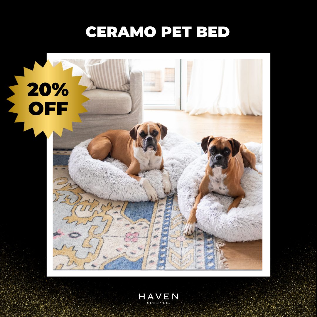 Haven Black Friday Ceramo Pet Bed