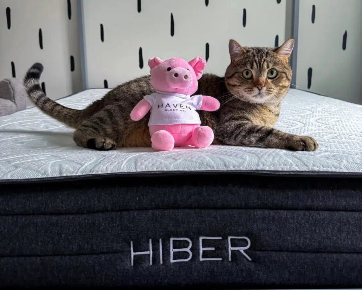 A stuffed animal