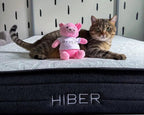 A cat and stuffed animal resting on the HIBERNate Kids Mattress, highlighting the soft, comfortable surface that creates a cozy sleep environment for children and their favorite companions.