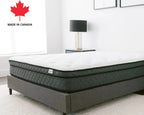 2026 The Haven Hospitality Mattress