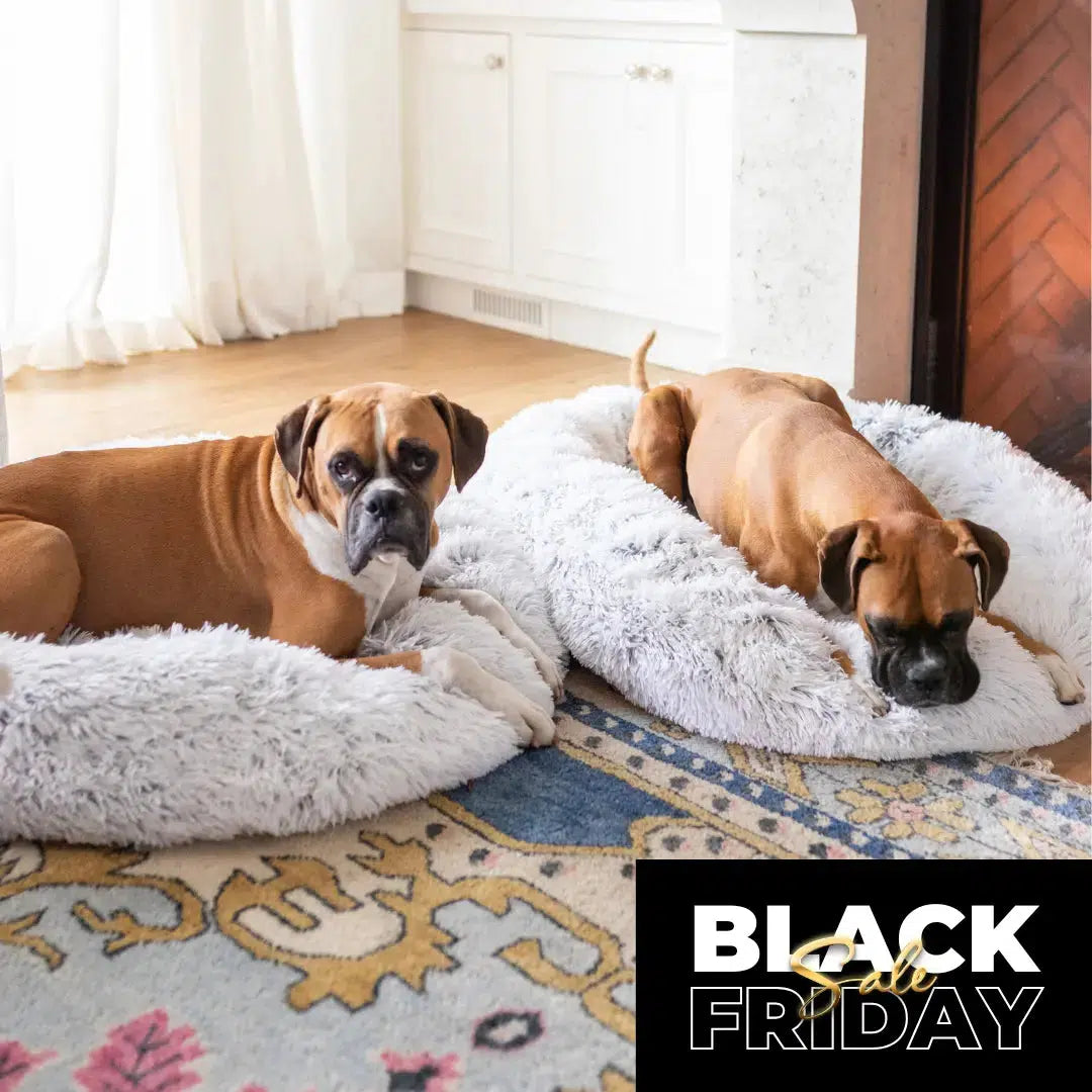 BLACK FRIDAY Pet Bed