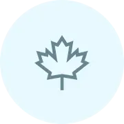 Maple leaf symbol on a light blue circle