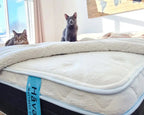 Haven Eurotop Hybrid mattress featuring advanced cooling technology and a pocketed coil core for superior motion isolation and pressure relief.