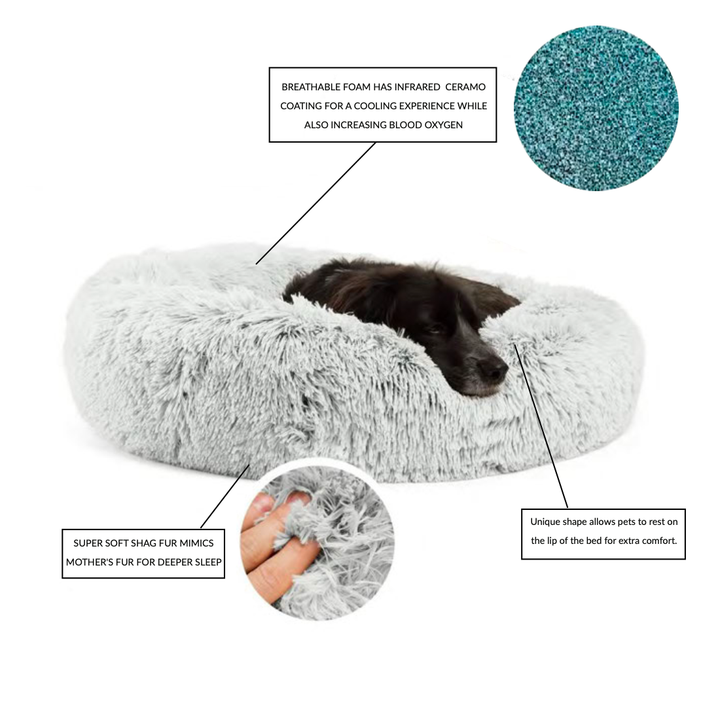 Haven CANADA Pet Bed CERAMO Pet Bed