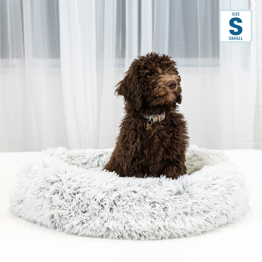 Haven CANADA Pet Bed CERAMO Pet Bed