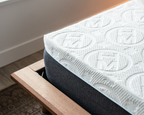 Haven Mattress Mattress LUX Rejuvenate Mattress