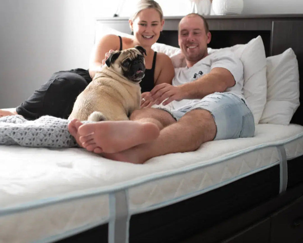 Couple relaxing with their pug on a Haven Sleep Co. Eurotop Hybrid mattress, highlighting comfort and relaxation in a cozy bedroom setting.